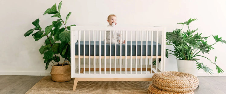 Baby Sitting in Modern Crib