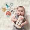 happy baby with itzy ritzy cow gift set teething and crinkle