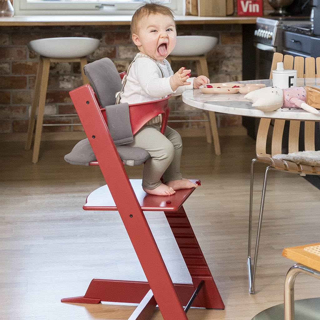 Stokke tripp trapp baby high chairs