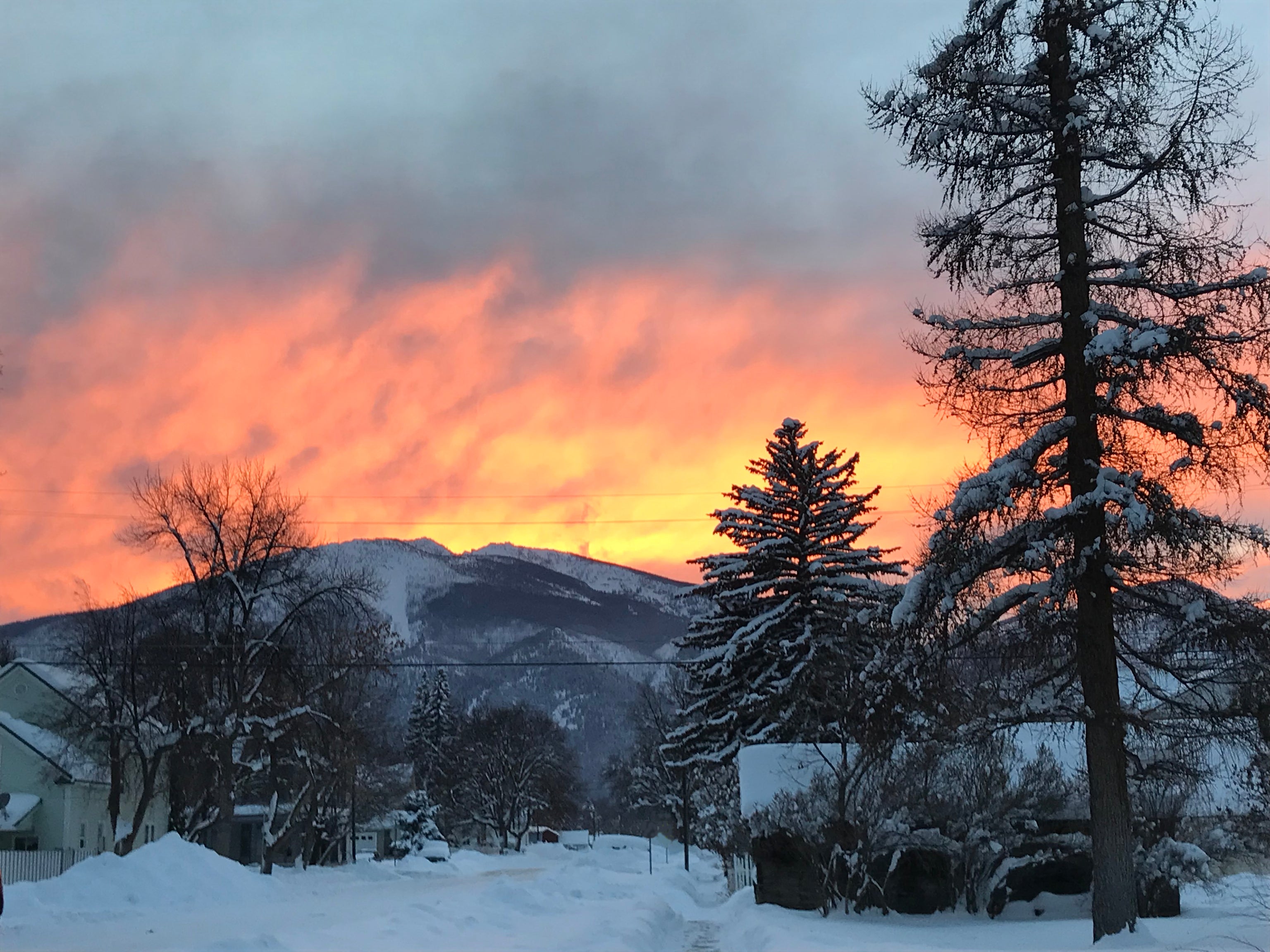 Happy Holidays from Hazel & Fawn Hazel & Fawn