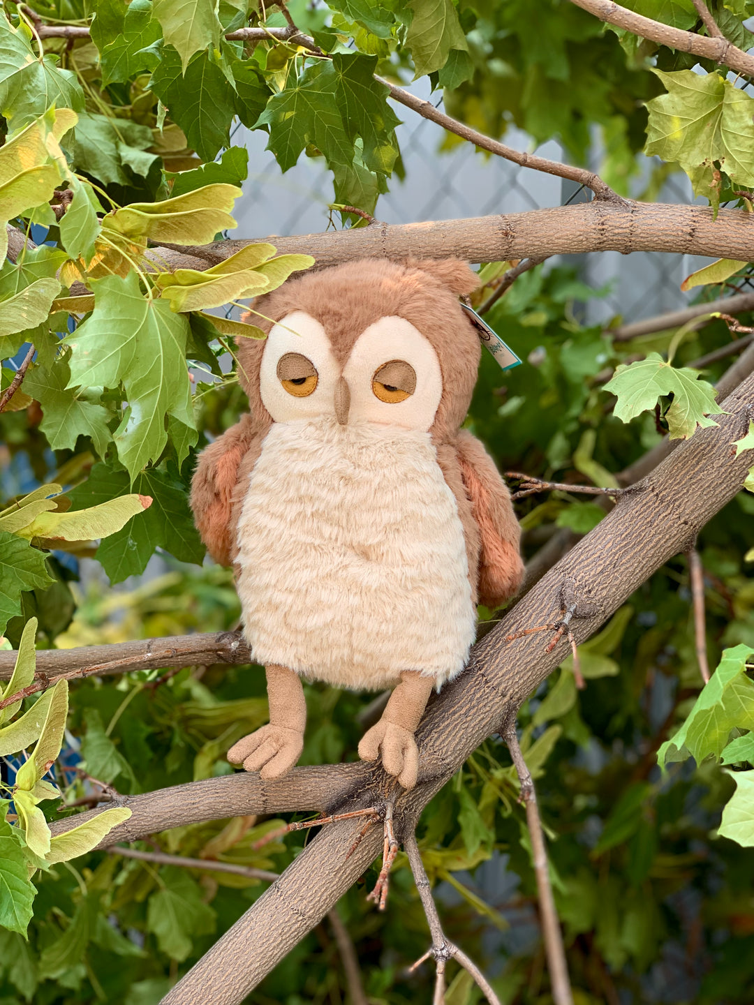 Jellycat Wrapabats in black and brown, outside in a tree.