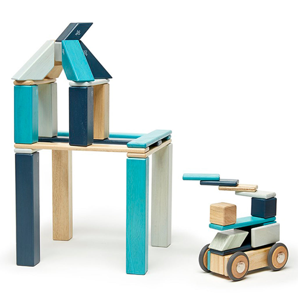 Tegu toys for kids wooden block set