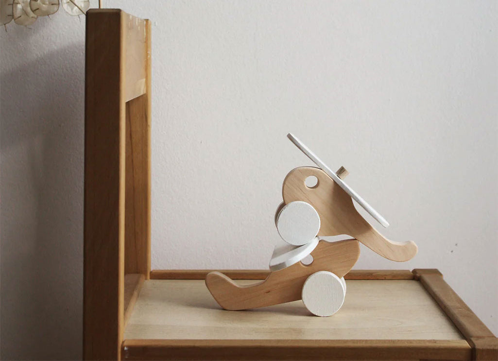 Wooden Montessori Push Childrens Toy