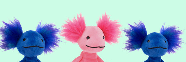 shop axolotl stuffed animals