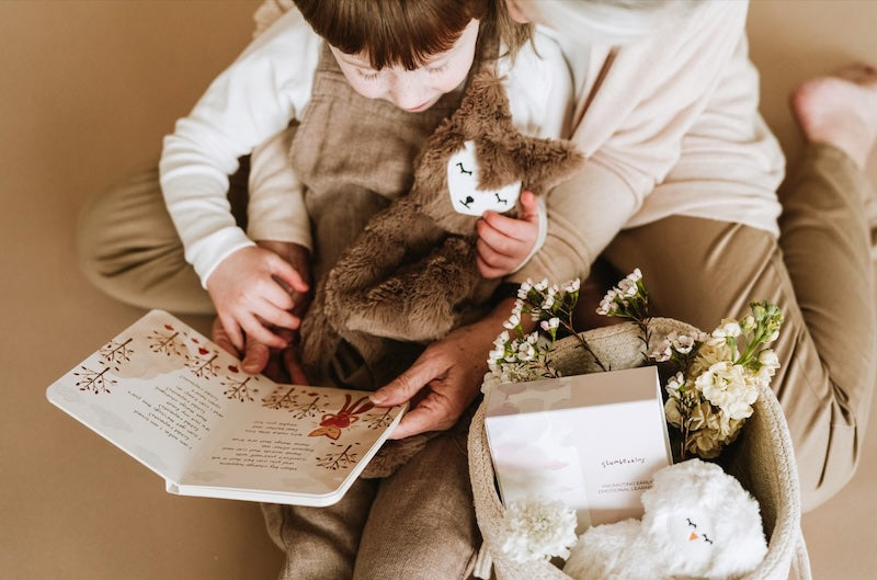  Slumberkins Fox Snuggler and book