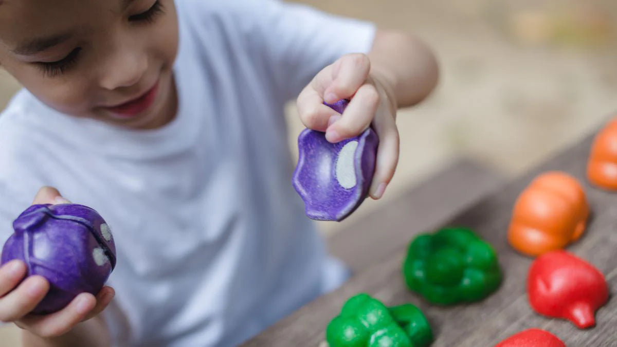 Child Playing with PlanToys Toy Food