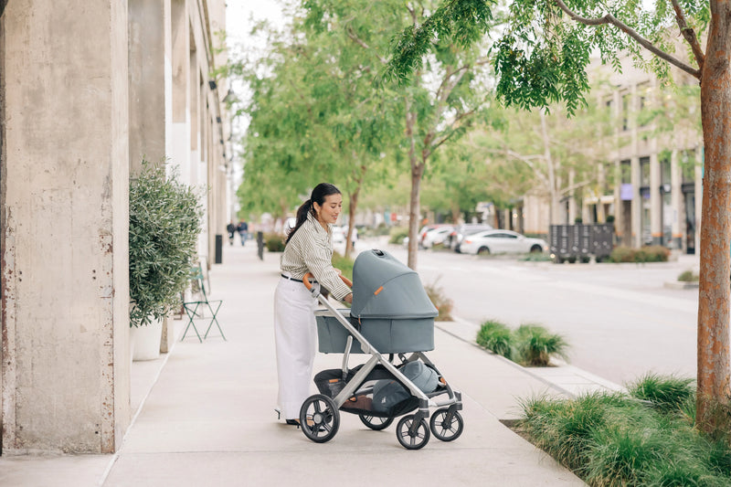 Uppababy stroller and bassinet V3 in Callum