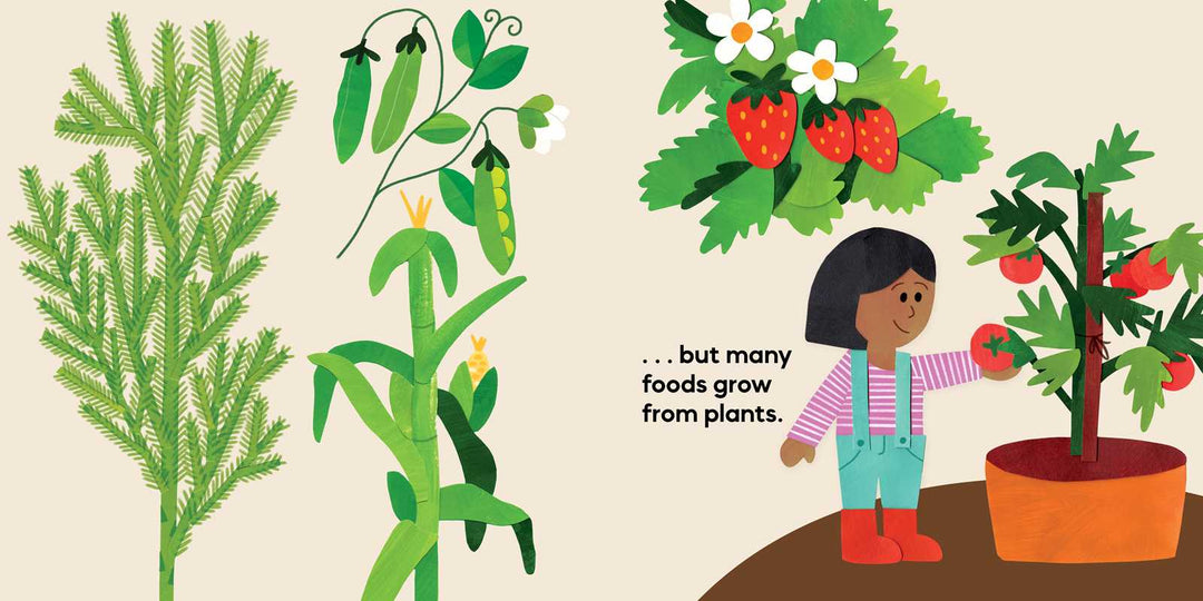 Colorful food growing page from Our Food Grows by Sarah M. White for young readers