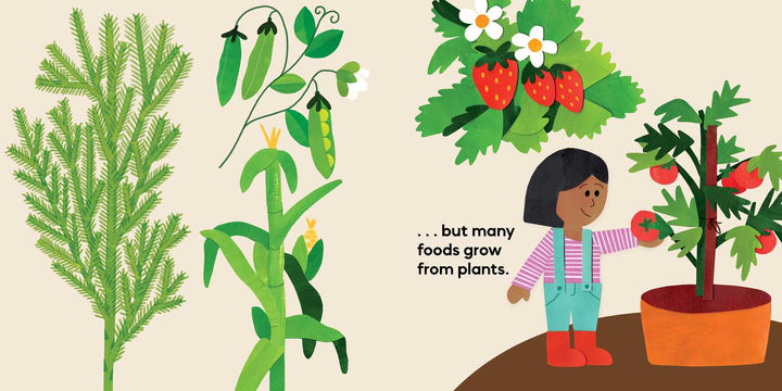 Colorful food growing page from Our Food Grows by Sarah M. White for young readers