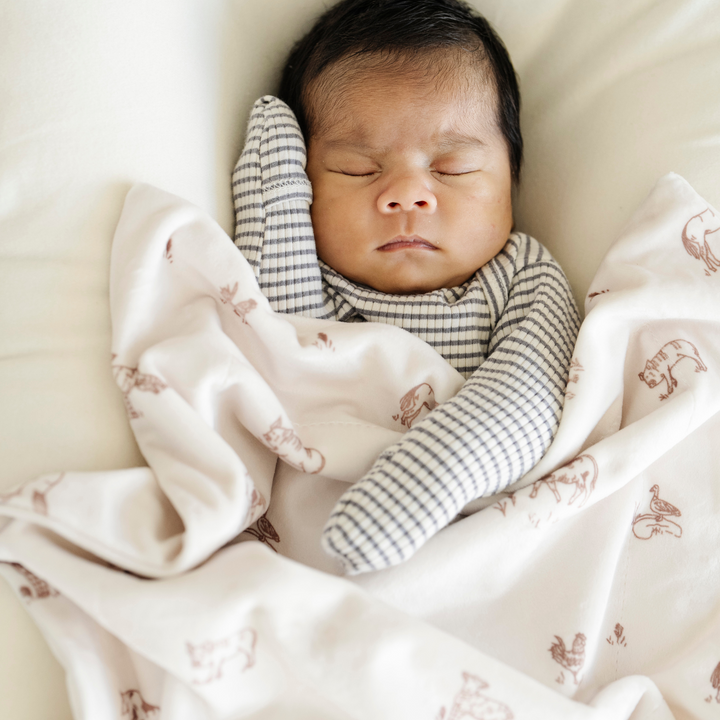 Saranoni Minky Stretch Receiving Blanket in Farm Animals combines beauty and softness, perfect for baby girl blankets.