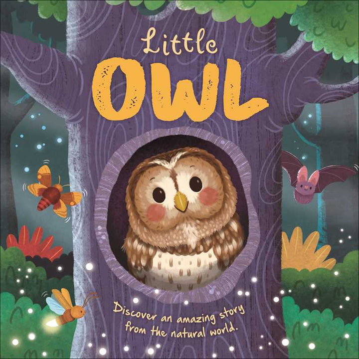 Nature Stories: Little Owl board book cover by Simon & Schuster, a padded story book for kids