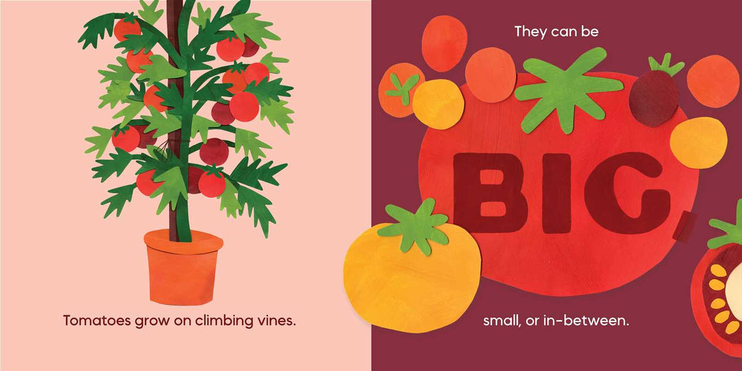 Back cover Our Food Grows by Sarah M. White educational children's food board book