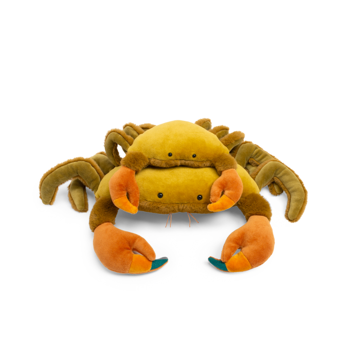 Crab All Around the World