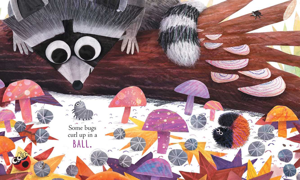 Simon & Schuster Some Bugs board book page showing a raccoon among mushrooms and fallen logs