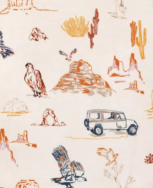 close up of handrawn canyon pattern for by park apple baby clothes 