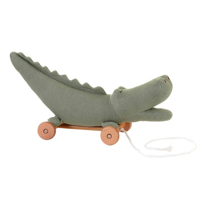 ergmont croc pull toy 