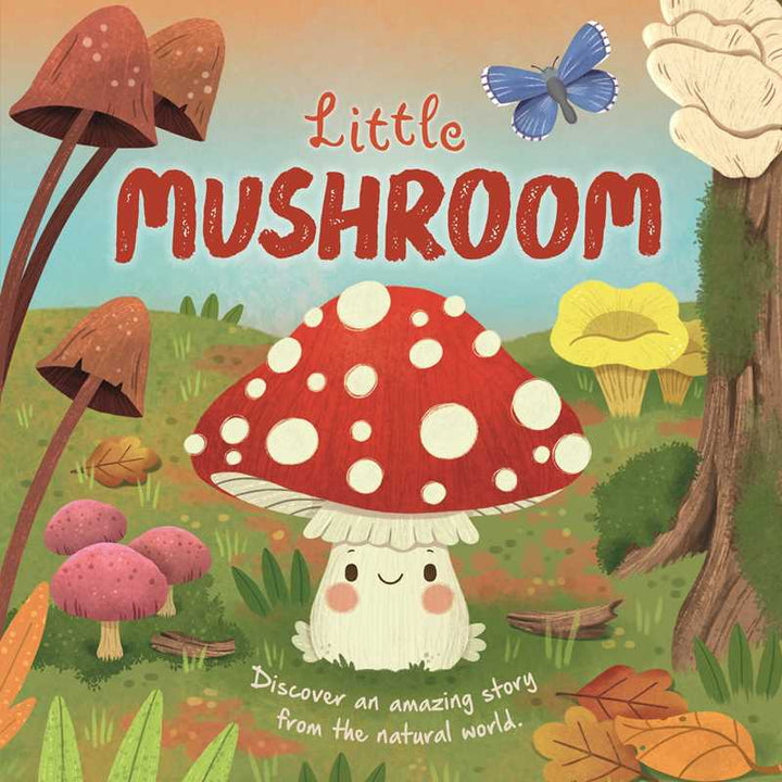 Igloo Books Nature Stories Little Mushroom padded board book cover STEM toddler gift