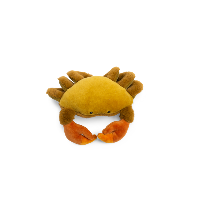 Crab All Around the World