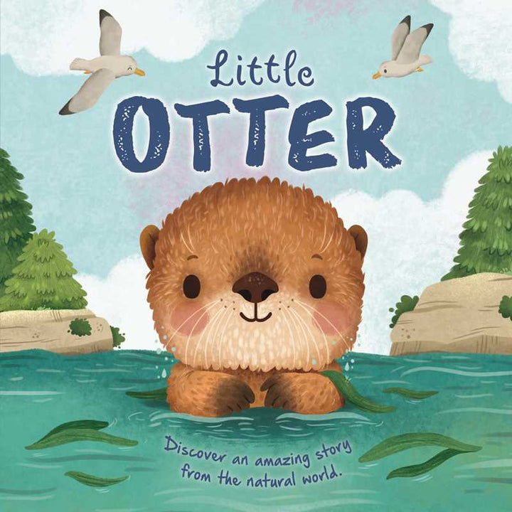 Nature Stories: Little Otter board book cover by Simon & Schuster, a padded story book for kids