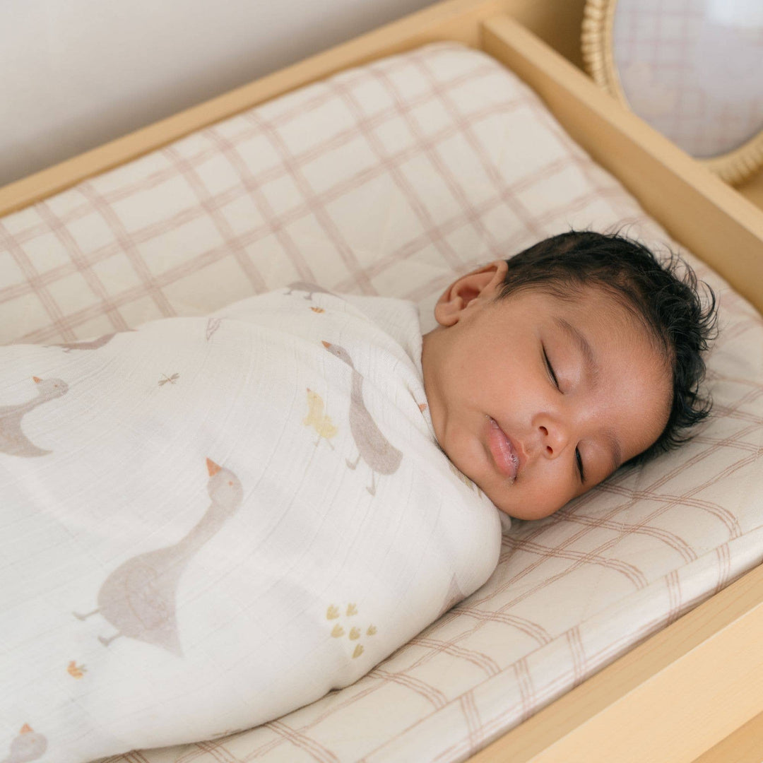 sleeping newborn in bassinet swaddled in goose patterned crane baby infant blanket 