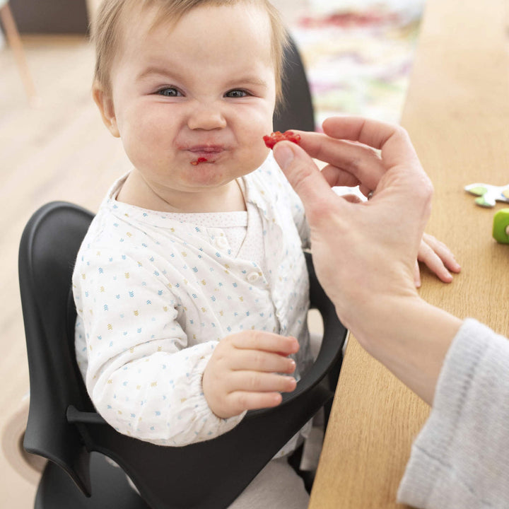 Nomi High Chair Bundle