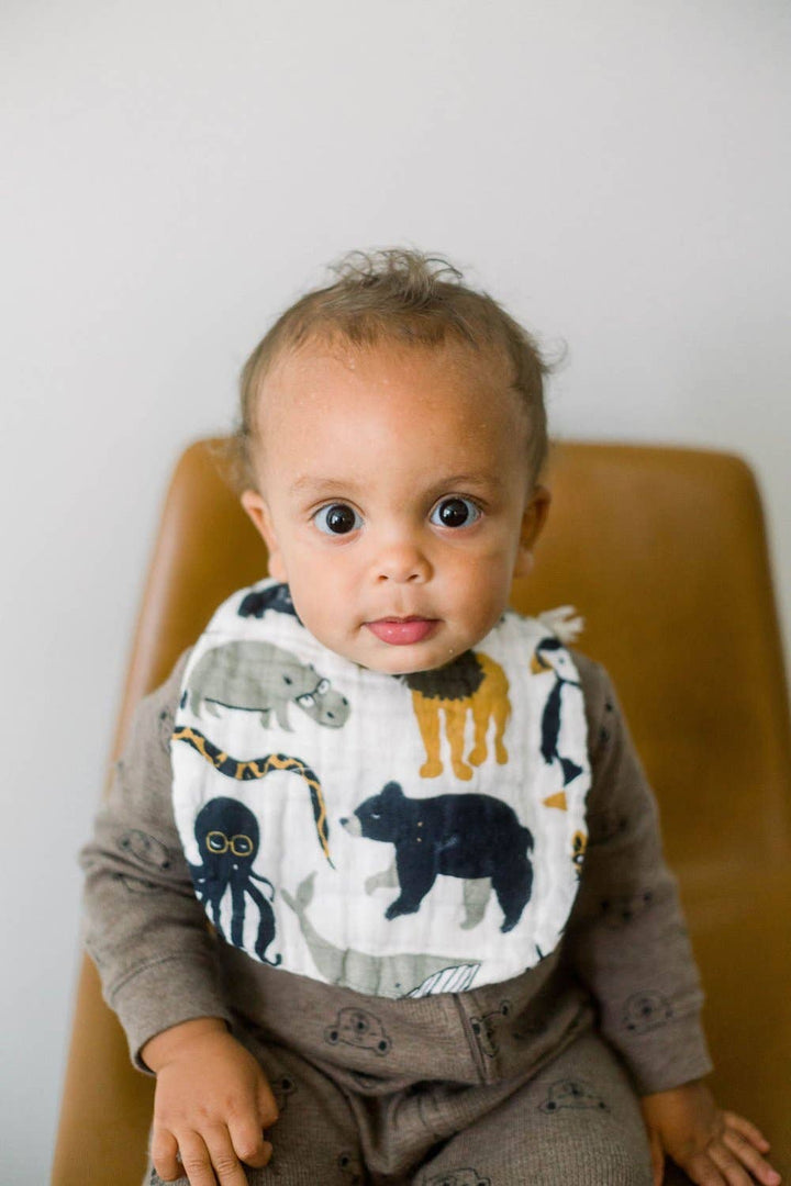 shop unique zoology clementine kid bib set 