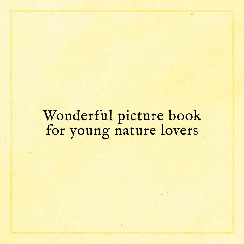illustration of a child drawing a face onto a found rock in When You Find the Right Rock picture book