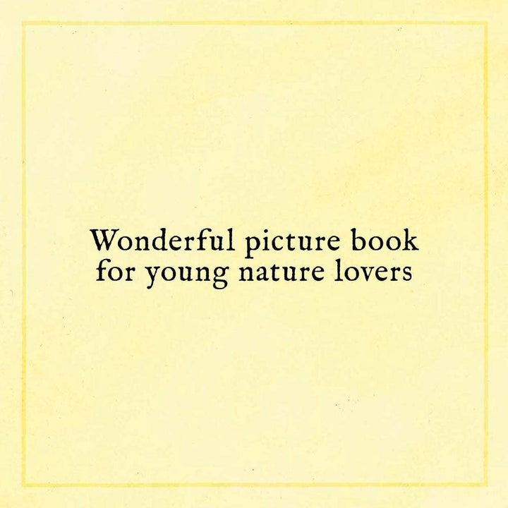 illustration of a child drawing a face onto a found rock in When You Find the Right Rock picture book