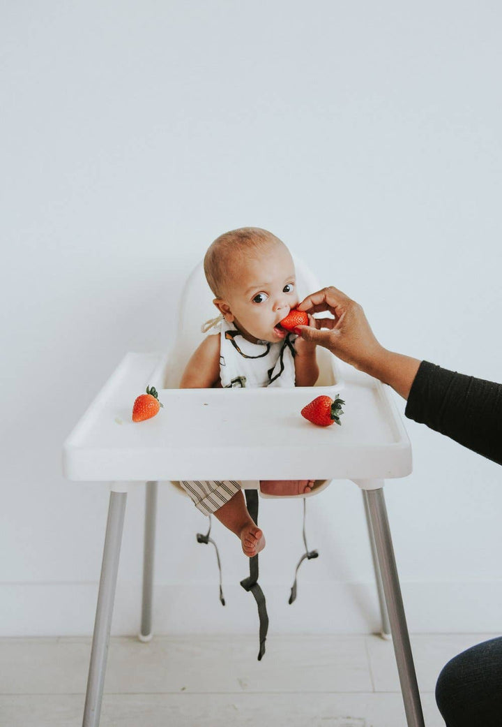 zoology and spectacles pattern toddler bibs from clementine kids 