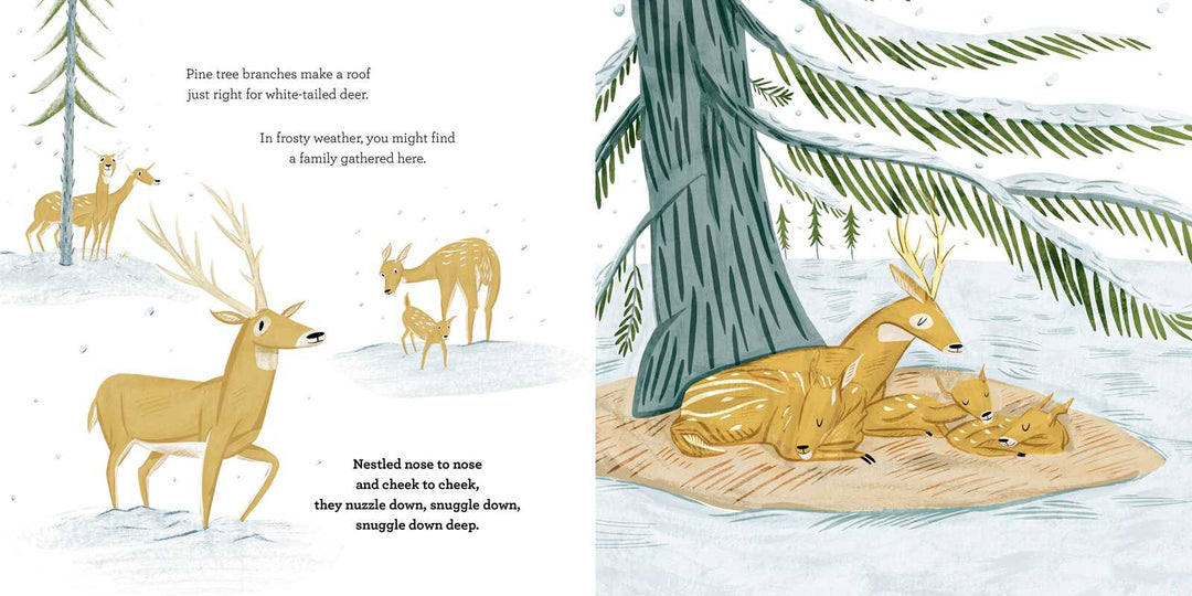 Illustrated winter den scene from Snuggle Down Deep children's hibernation book
