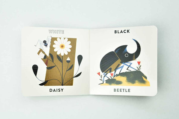 High-contrast garden illustration from Colors in the Garden early learning baby book