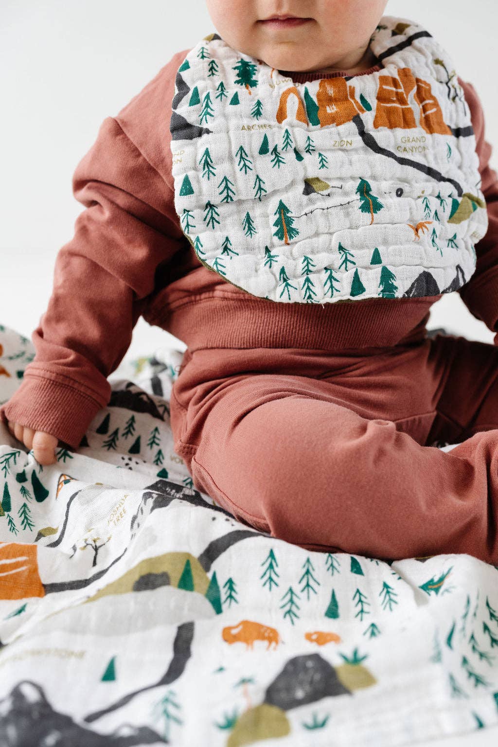 shop clementine kids national parks bib 