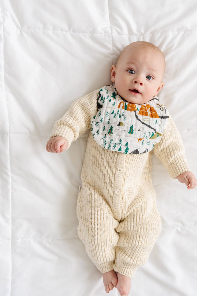 national parks soft baby bibs from clementine kids 