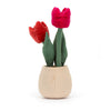 flowering spring time tulip pot jelly cat