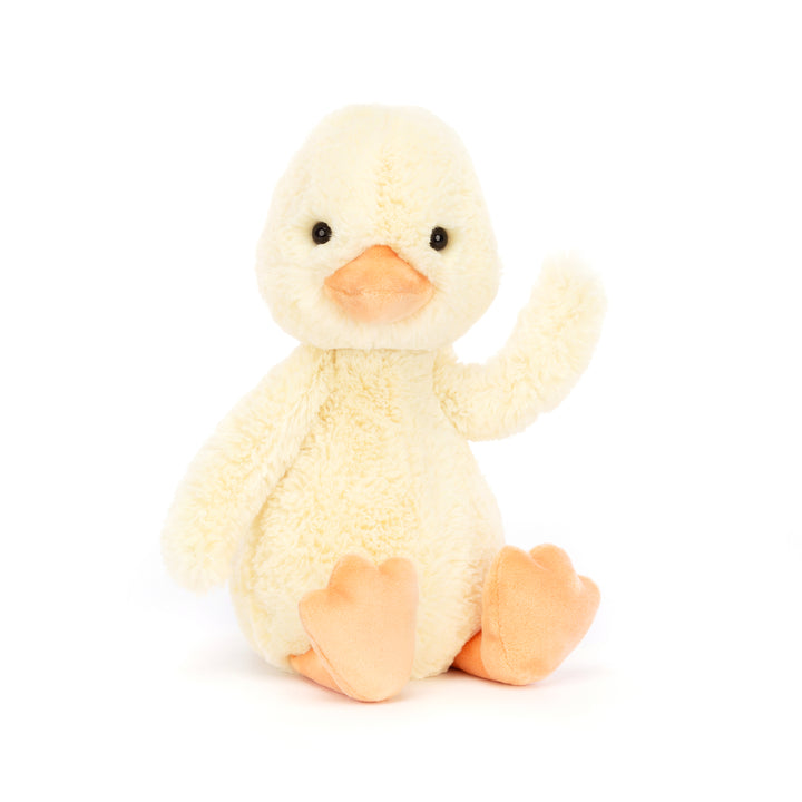 Bashful Duckling