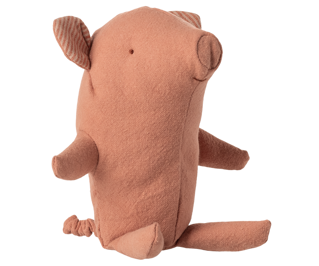 Baby Truffle Pig