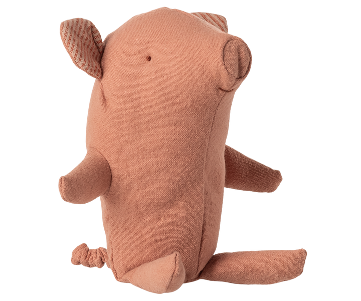 Baby Truffle Pig