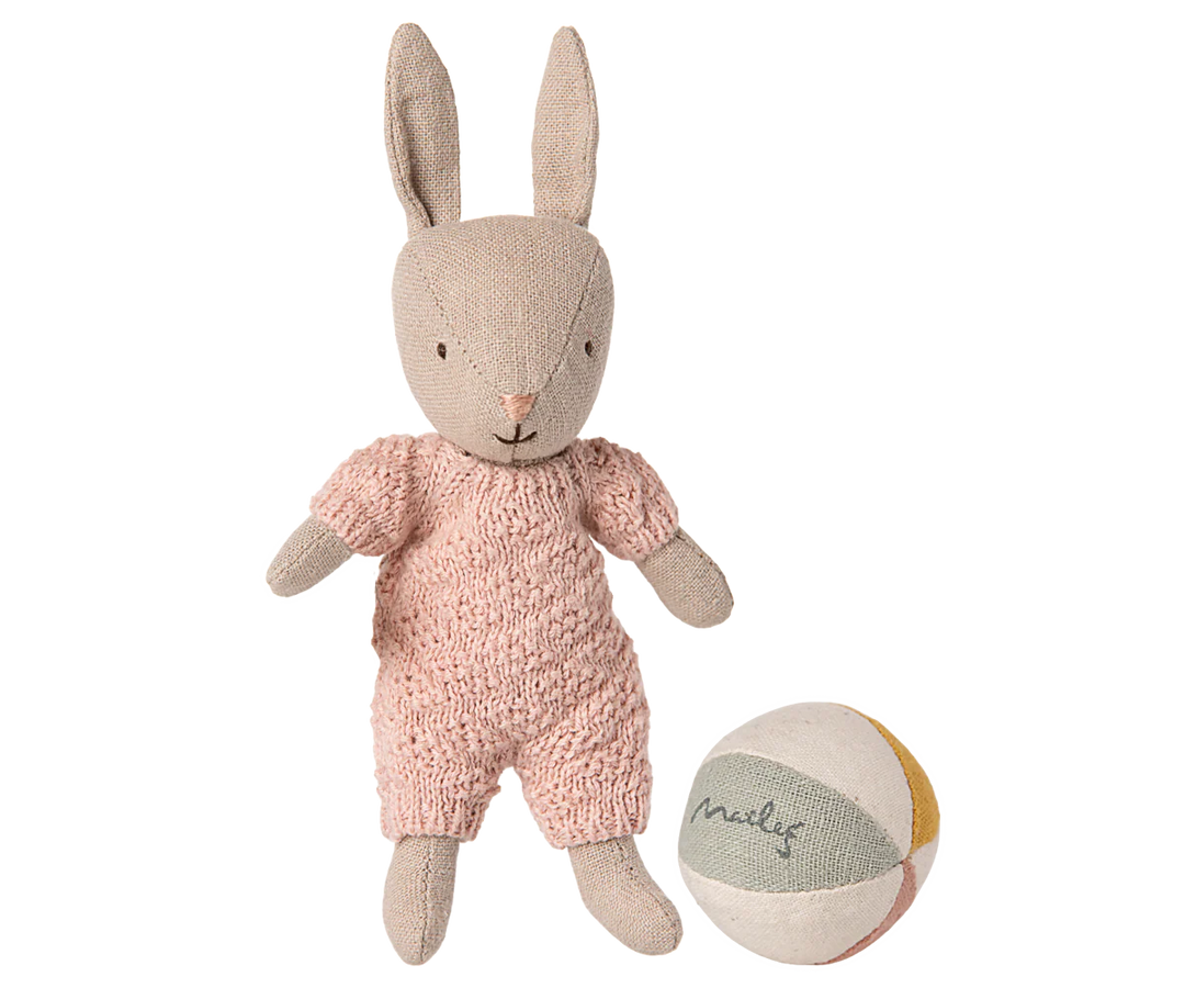 Bunny Set Micro