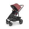 Uppababy Cruz Stoller in Lucy