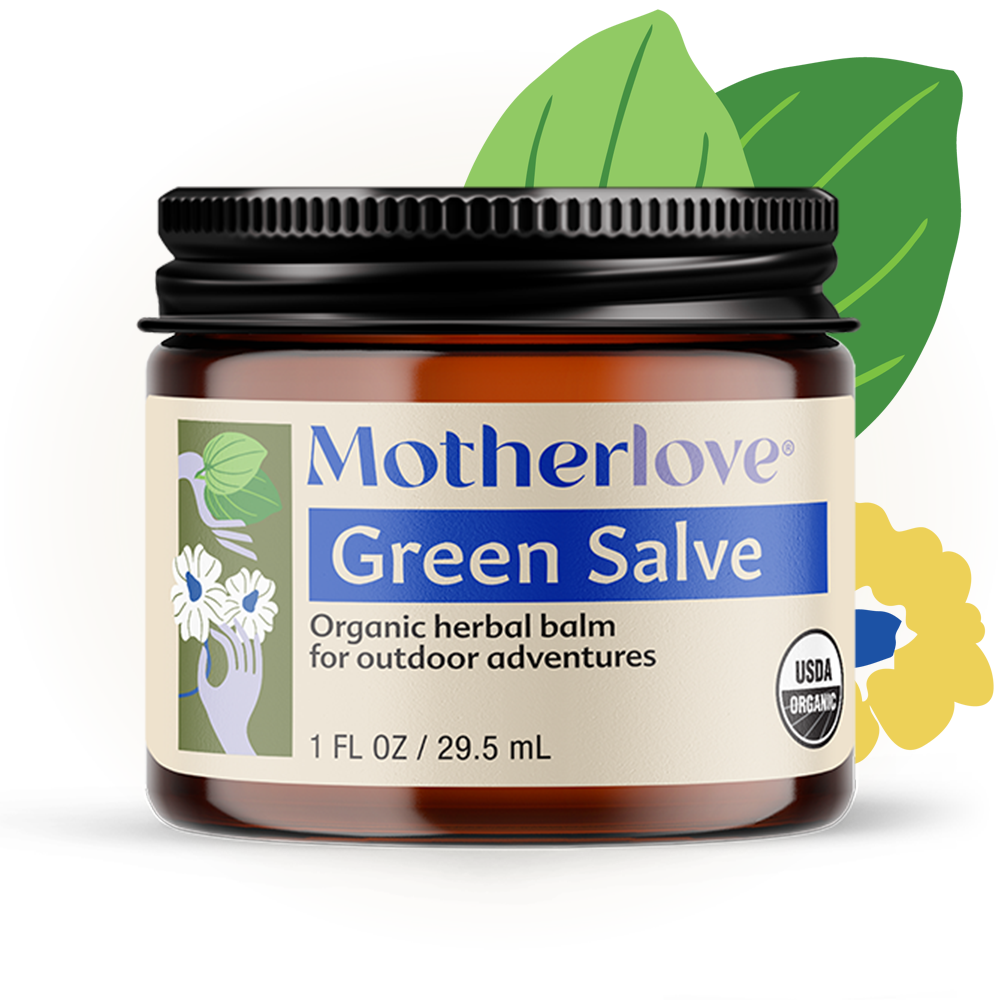 Motherlove Green Salve pictured with herbs, a soothing moisturizing skin balm made from organic plant ingredients.