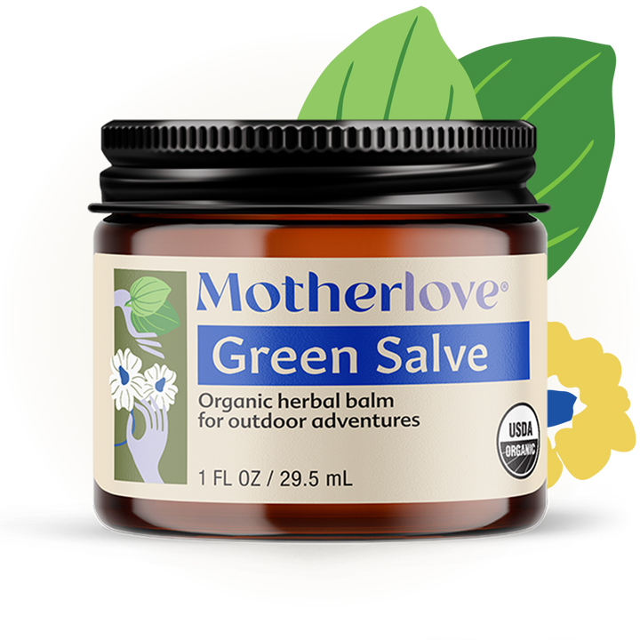 Motherlove Green Salve pictured with herbs, a soothing moisturizing skin balm made from organic plant ingredients.
