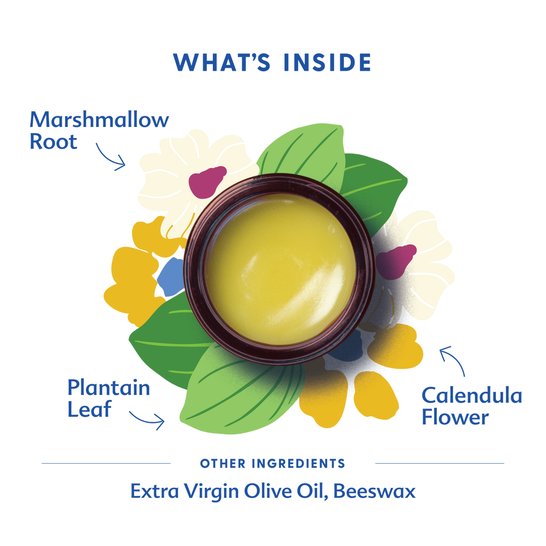 Motherlove Green Salve product image featuring the natural herbal balm trusted for gentle, everyday skin relief.