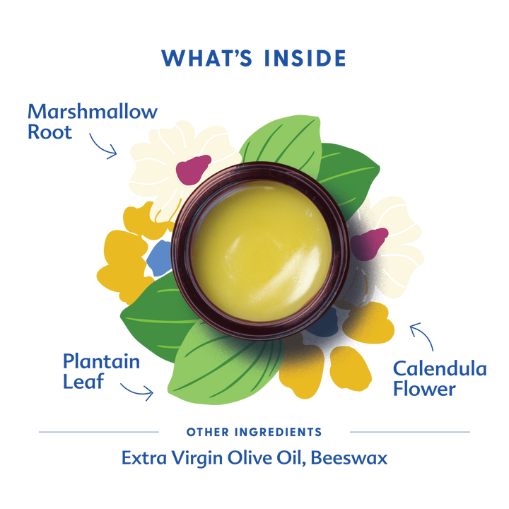 Motherlove Green Salve product image featuring the natural herbal balm trusted for gentle, everyday skin relief.