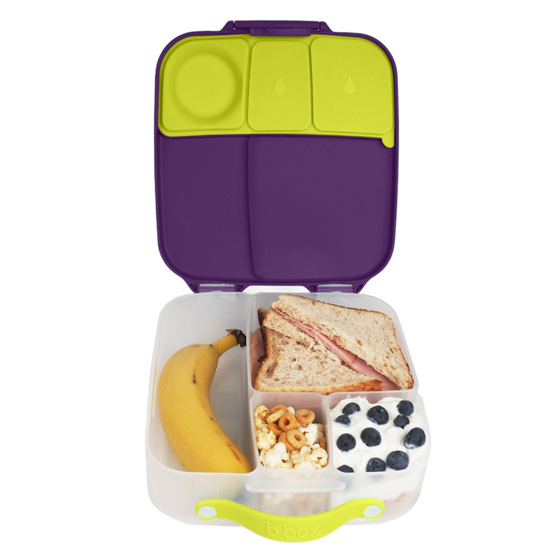 bbox passion splash jumbo bento lunchbox