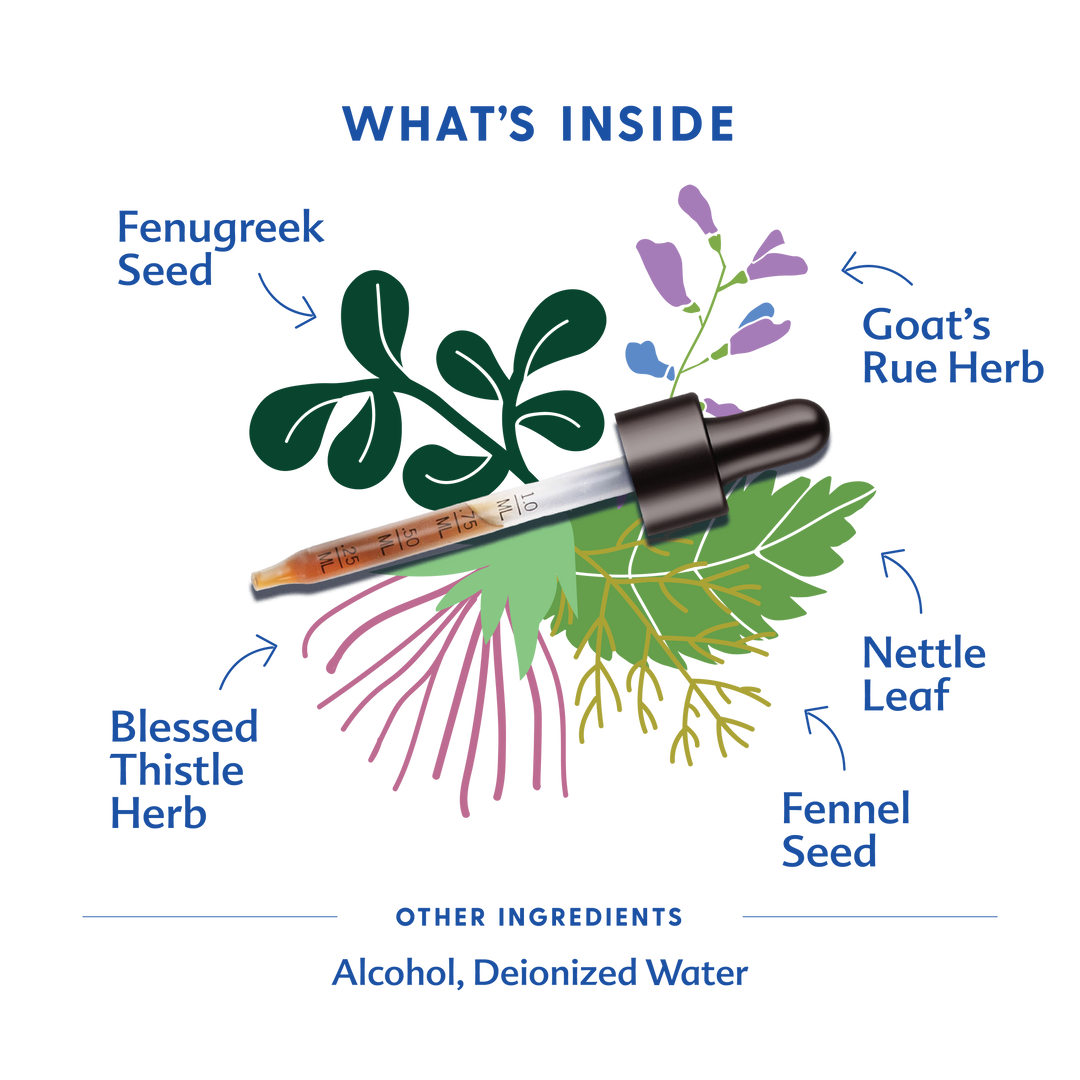 Transparent display of Motherlove More Milk¨ Special Blend Traditional Tincture, boost milk supply supplements for daily use