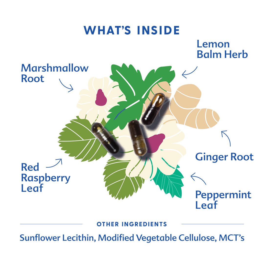 Motherlove Morning Sickness Blend - Liquid Capsules product display, trusted by moms as one of the best pregnancy supplements.