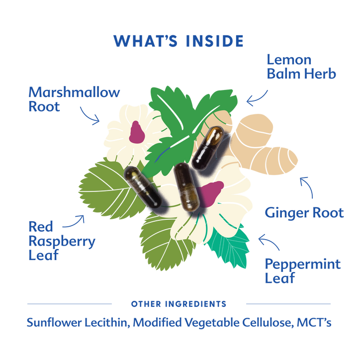 Motherlove Morning Sickness Blend - Liquid Capsules product display, trusted by moms as one of the best pregnancy supplements.