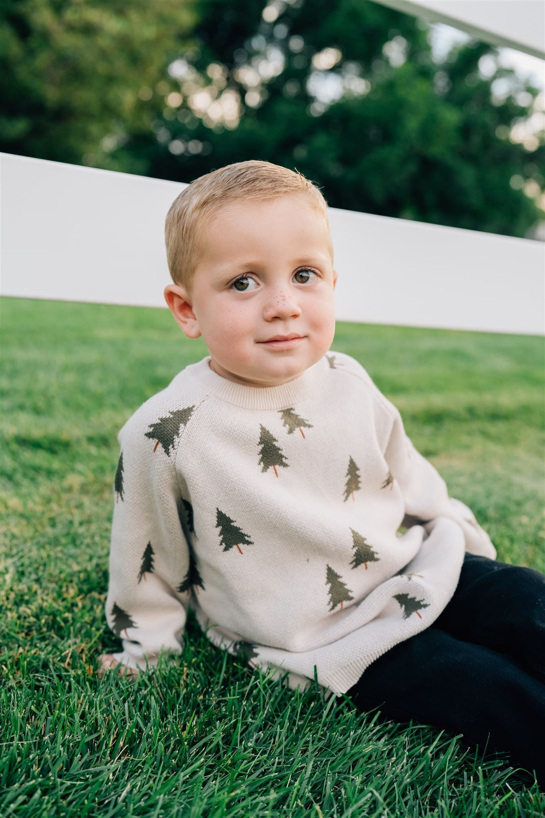 The Mebie Baby Pine Tree Knit Sweater combines comfort and style, a charming pick for bamboo baby clothes