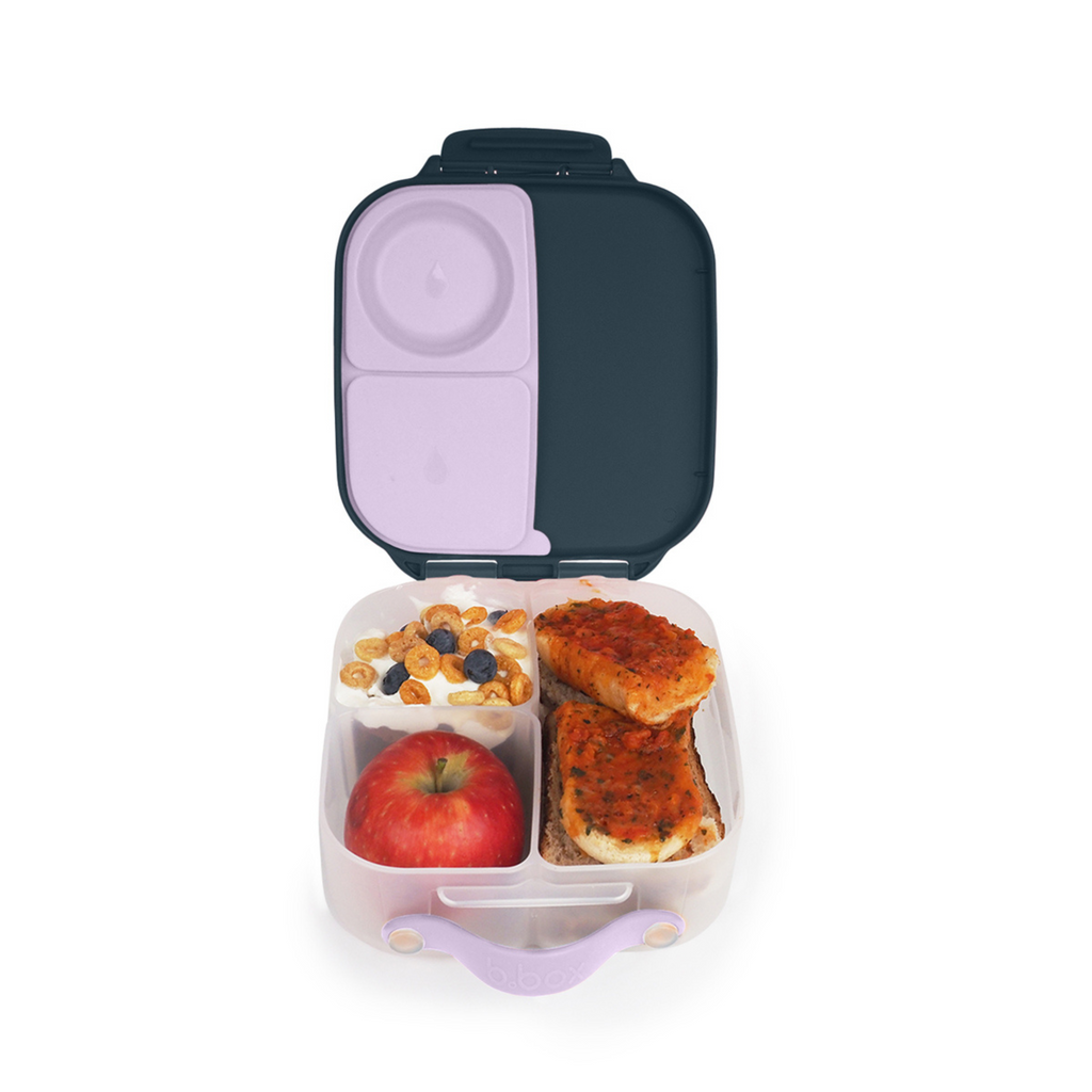 indigo rose mini lunchbox 35 ounces bbox