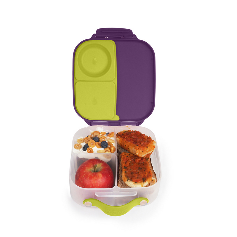 passion splash lunchbox 35 ounces by bbox